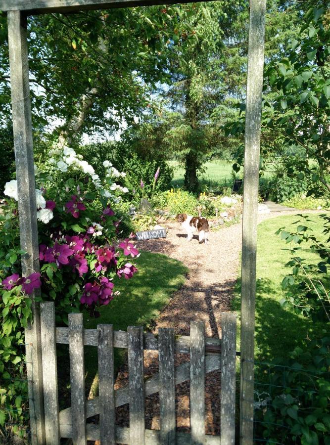 B&B Stateheide Noordbergum Kültér fotó